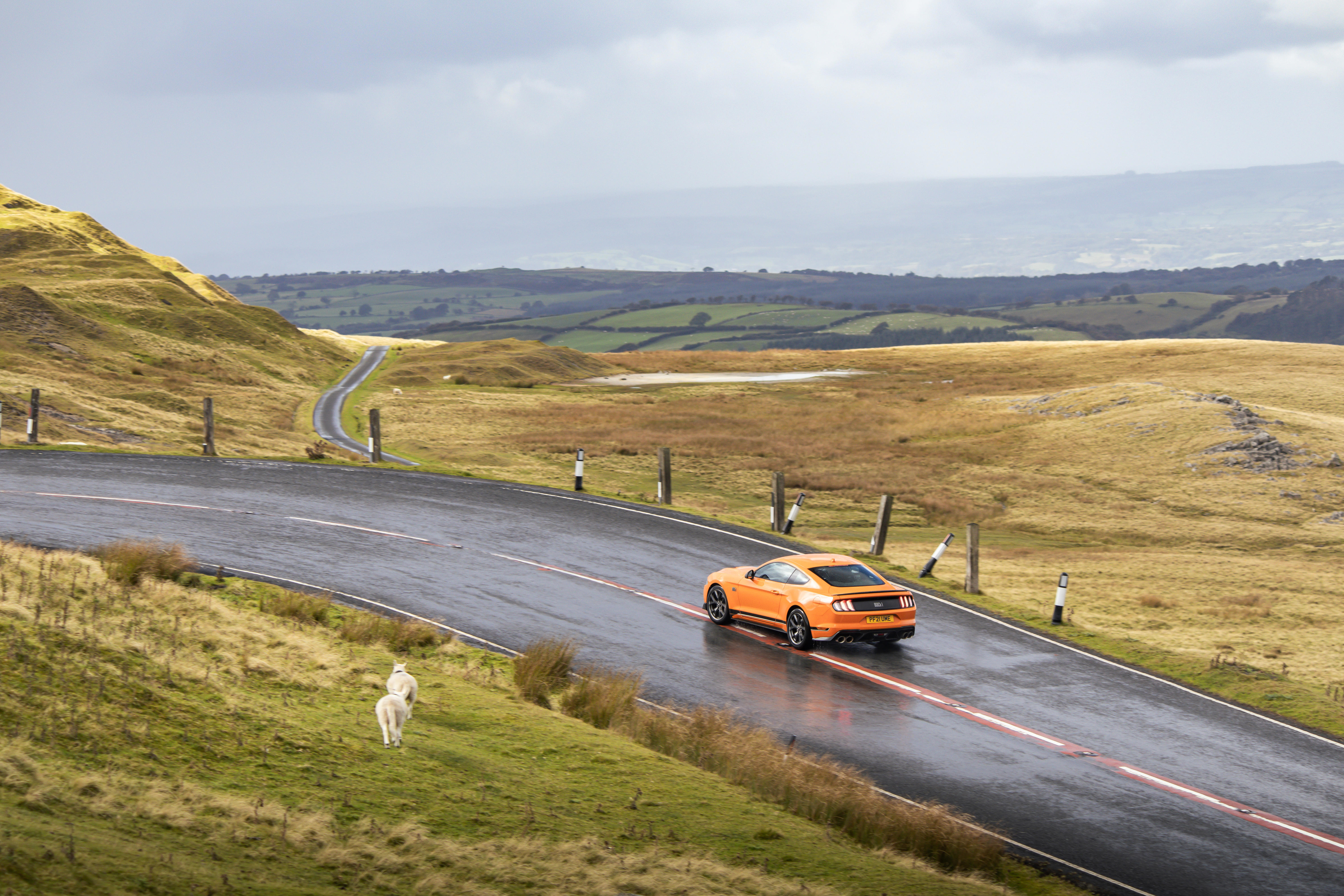 Brecon Beacons + South Wales - Photo 053